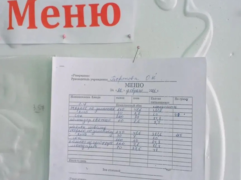 Мониторинг  организации школьного питания.